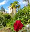 Отель Amra Park-hotel & Spa Гагра-7