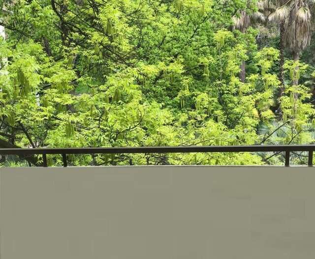 Отель Amra Park-hotel & Spa Гагра-70